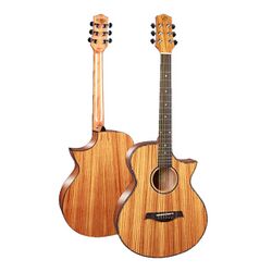 Gitar, salah satu contoh alat musik petik paling populer di dunia.