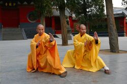 Seorang biksu mempraktikkan teknik Kung Fu berlandaskan kuda-kuda (Zha bu) di halaman Kuil Shaolin.